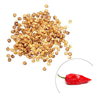 Red Bhut Jolokia Ghost Pepper Seeds
