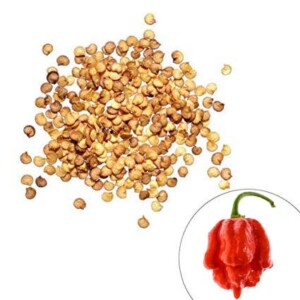 Red Trinidad Scorpion Butch T​ Pepper Seeds